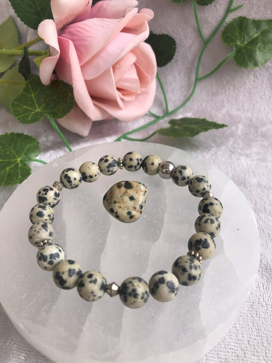Dalmation Jasper Bracelet 8mm